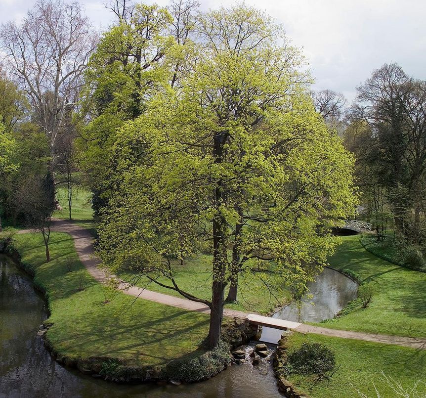 Schlossgarten Schwetzingen, Landschaft von Sckell