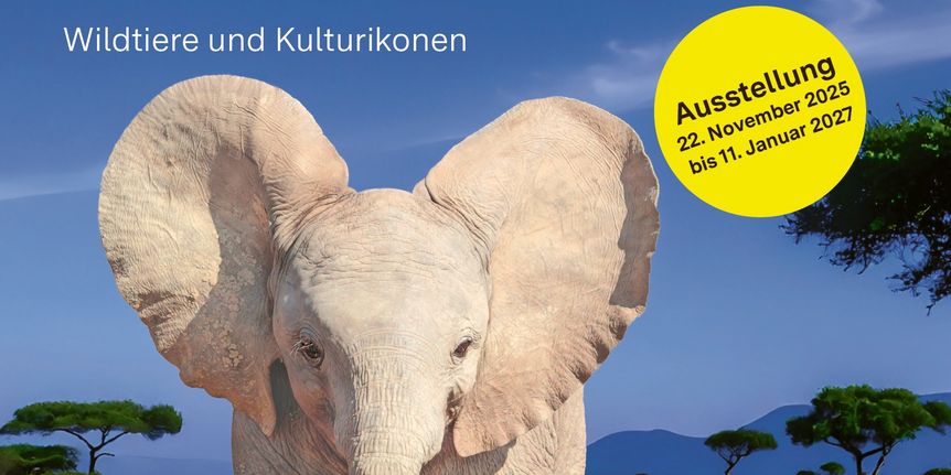 Residenzschloss Mergentheim, Event, Sonderausstellung Elefanten