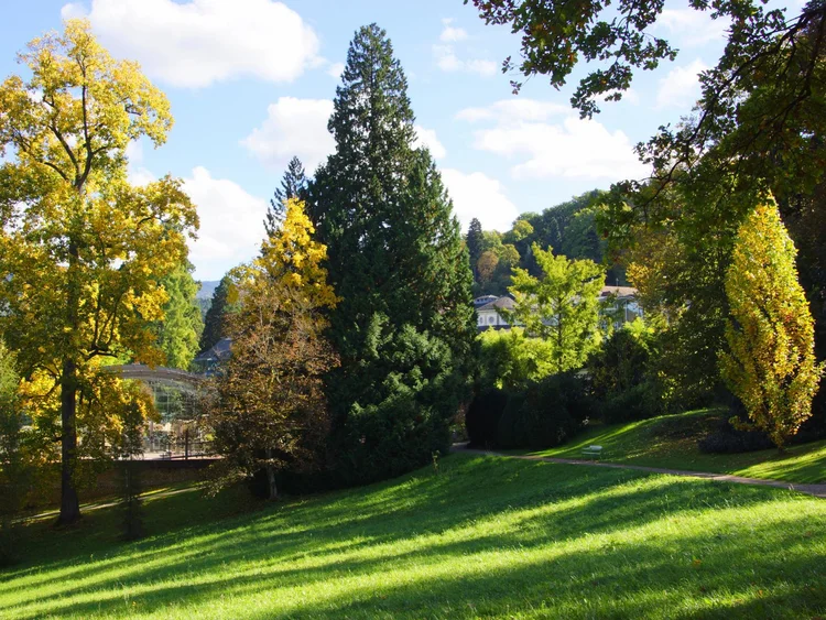 Photo: Badenweiler Tourismus GmbH Badenweiler Parks