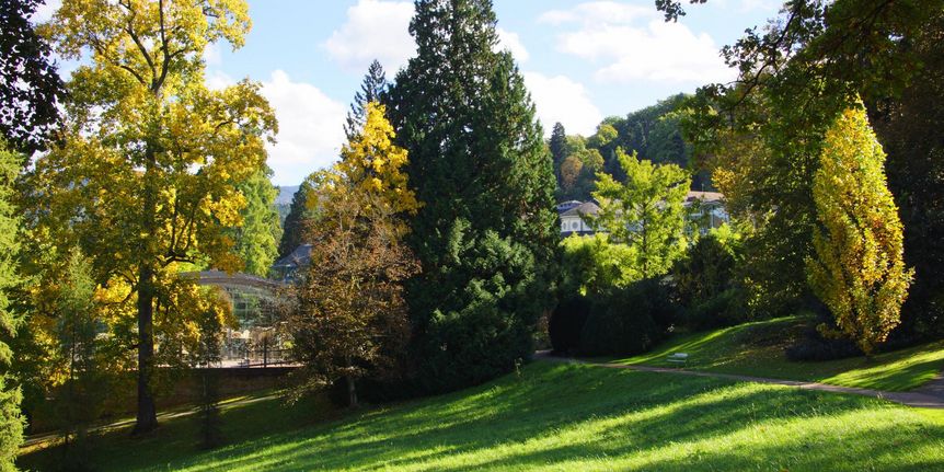 Badenweiler Parks