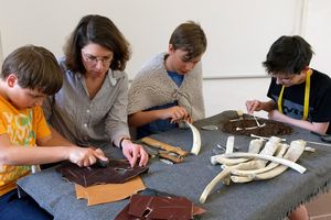 Residenzschloss Mergentheim, Besucher