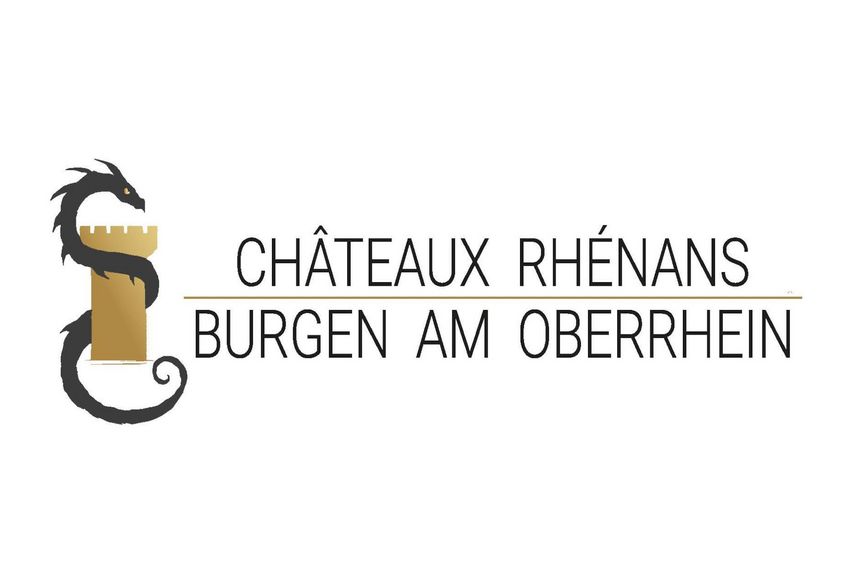 Logo eines Drachens, der sich um einen Turm schlingt und Titel des Projekts